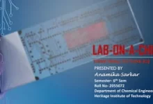 Lab-on-a-Chip Devices Miniaturizing Analysis for Maximum Impact